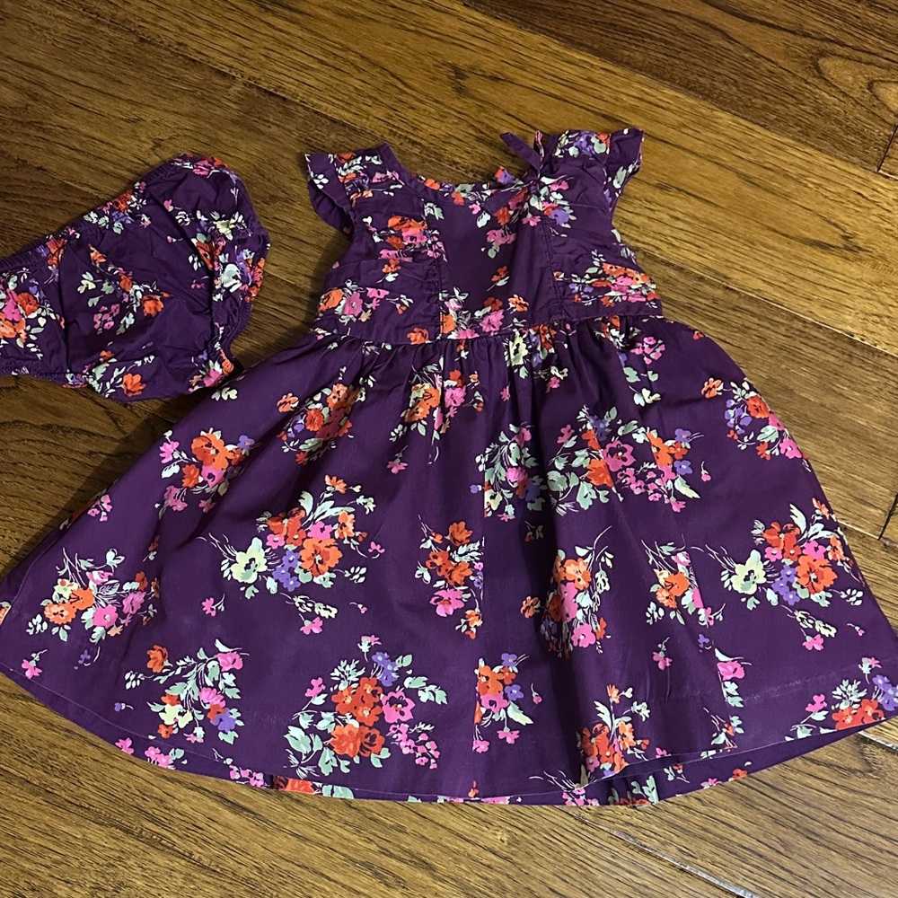 Janie and Jack Equestrian Charm Dress with bloomers